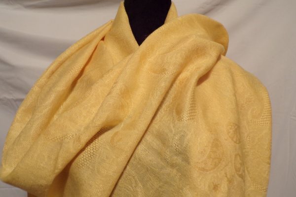 Product Image and Link for PASHMINA Yellow Scarf 28″ X 70″