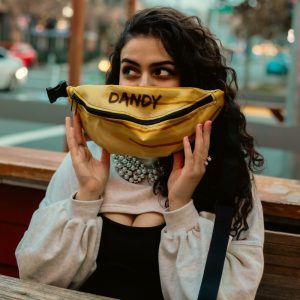 Product Image and Link for Banana Fanny Pack