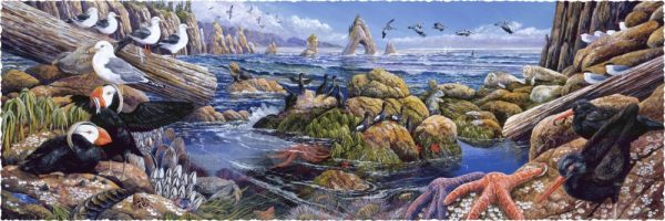 Product Image and Link for Pacific Northwest (500 Piece Wooden Jigsaw Puzzle)