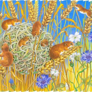 Product Image and Link for The Summer Nest (50 Piece Wooden Jigsaw Puzzle)