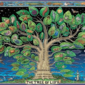 Product Image and Link for The Tree Of Life (521 Piece Wooden Jigsaw Puzzle)