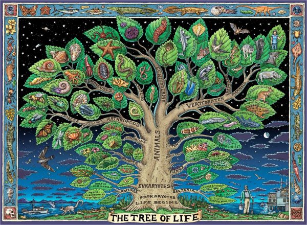 Product Image and Link for The Tree Of Life (521 Piece Wooden Jigsaw Puzzle)