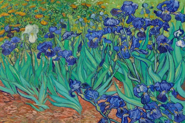 Product Image and Link for Irises By Vincent Van Gogh (50 Piece Mini Wooden Jigsaw Puzzle)