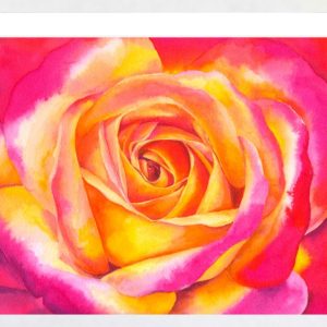 Product Image and Link for Sunset Rose Greeting Card