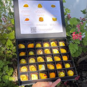 Product Image and Link for 30-Piece Artisan Handcrafted Chocolate Box