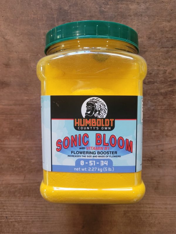 Product Image and Link for Sonic Bloom 0-51-34