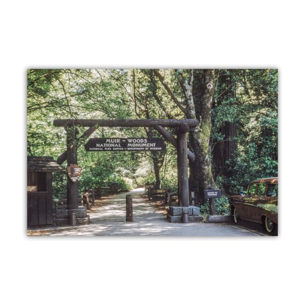 Product Image and Link for Muir Woods Vintage Photo Print in Northern California Redwoods