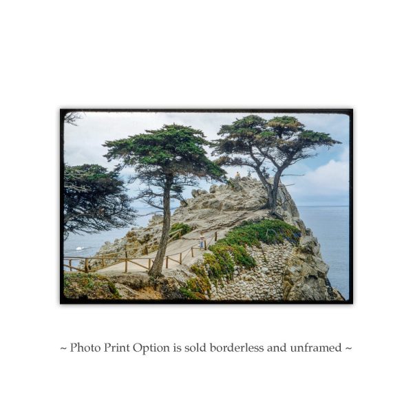 Product Image and Link for Lone Cypress Tree Pebble Beach California Vintage Photography Art Print