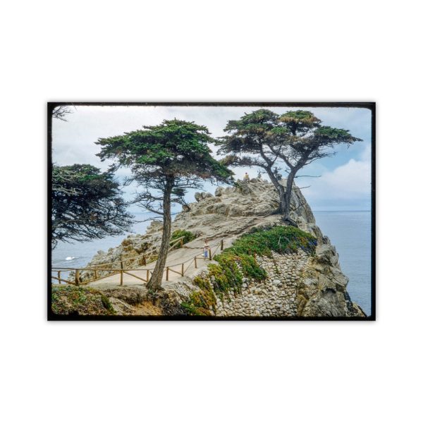 Product Image and Link for Lone Cypress Tree Pebble Beach California Vintage Photography Art Print