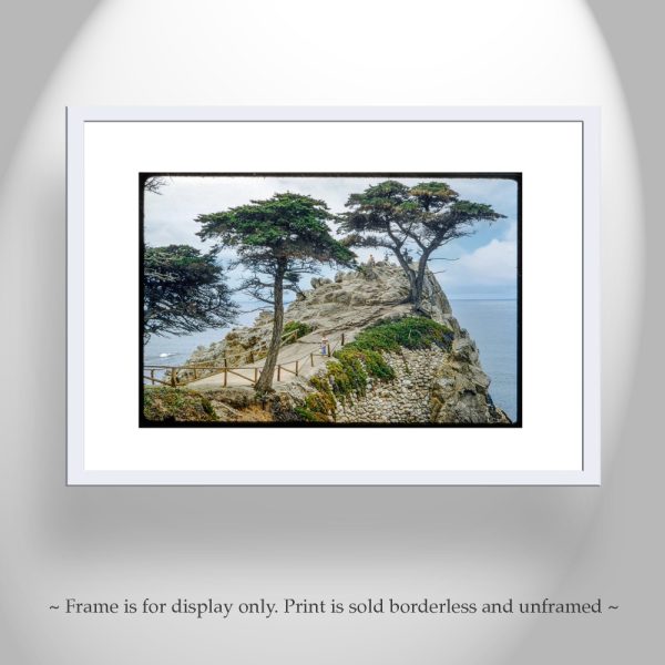 Product Image and Link for Lone Cypress Tree Pebble Beach California Vintage Photography Art Print