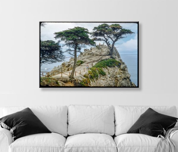 Product Image and Link for Lone Cypress Tree Pebble Beach California Vintage Photography Art Print