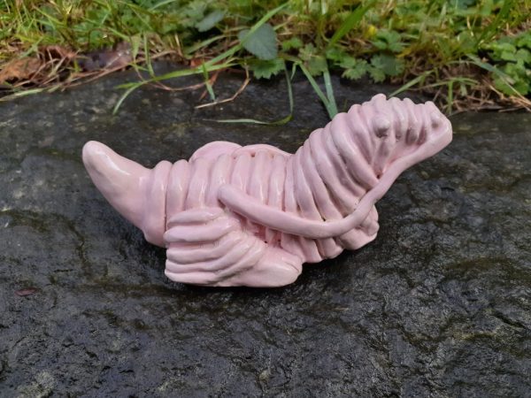 Product Image and Link for Wrinkly Hairless Dragon