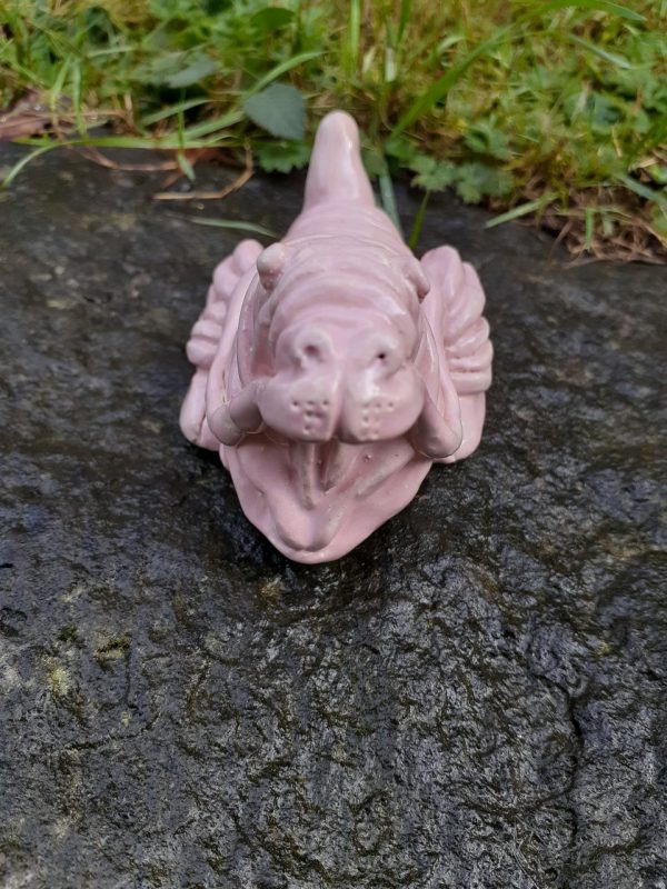 Product Image and Link for Wrinkly Hairless Dragon