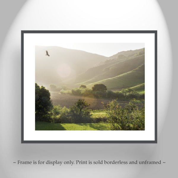 Product Image and Link for California Landscape Art Print with Lompoc Farm Countryside with Hawk Bird in Flight