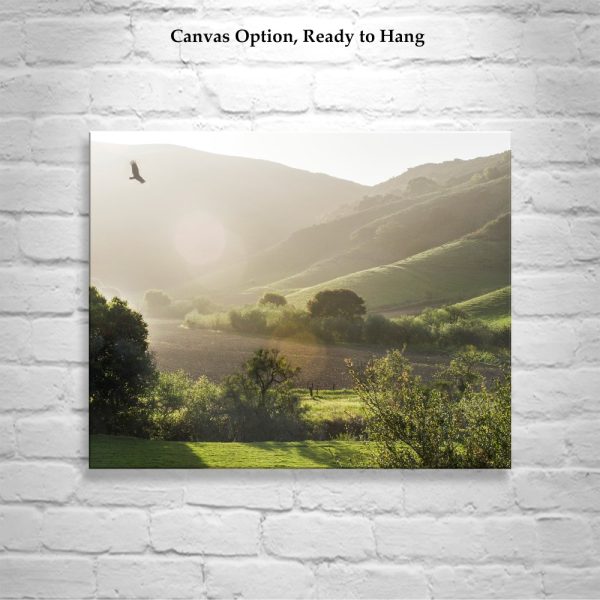 Product Image and Link for California Landscape Art Print with Lompoc Farm Countryside with Hawk Bird in Flight