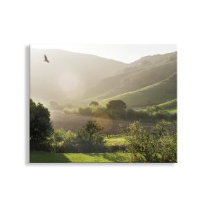 Product Image and Link for California Landscape Art Print with Lompoc Farm Countryside with Hawk Bird in Flight