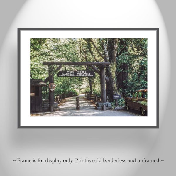 Product Image and Link for Muir Woods Vintage Photo Print in Northern California Redwoods