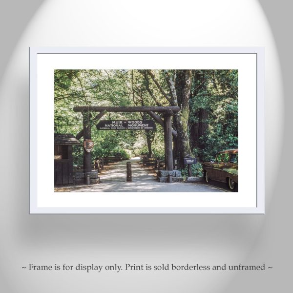 Product Image and Link for Muir Woods Vintage Photo Print in Northern California Redwoods