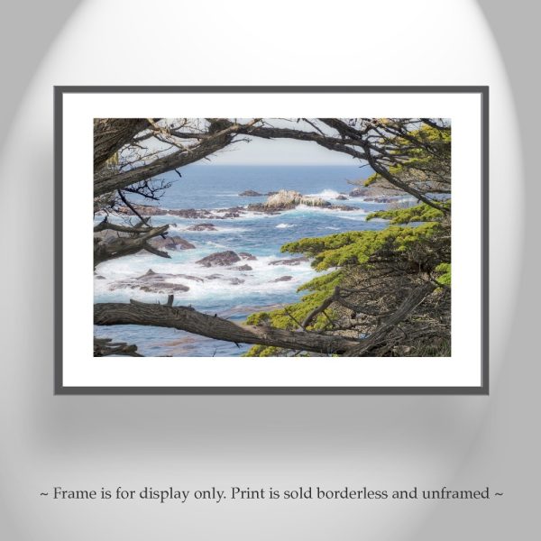 Product Image and Link for Carmel by the Sea Point Lobos Art Photography Print with Monterey Cypress Trees