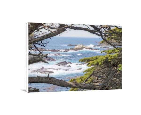 Product Image and Link for Carmel by the Sea Point Lobos Art Photography Print with Monterey Cypress Trees