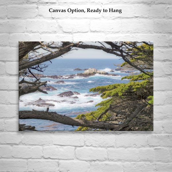 Product Image and Link for Carmel by the Sea Point Lobos Art Photography Print with Monterey Cypress Trees