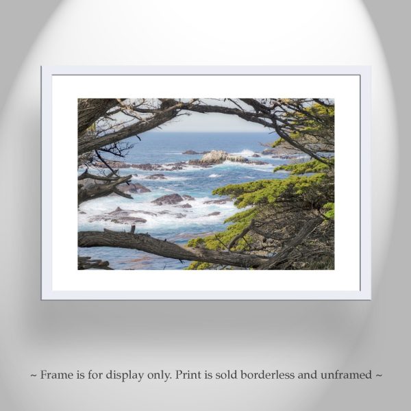 Product Image and Link for Carmel by the Sea Point Lobos Art Photography Print with Monterey Cypress Trees