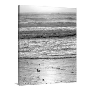 Product Image and Link for Black and White Beach Photography Print at Jalama Beach Santa Barbara California Coast