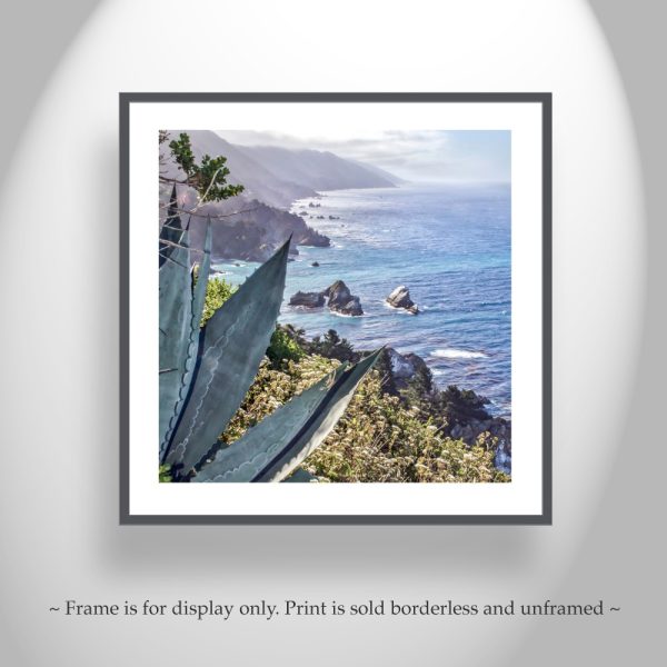 Product Image and Link for Big Sur Agave Photography Print at California Coast as Home Decor Gift Art