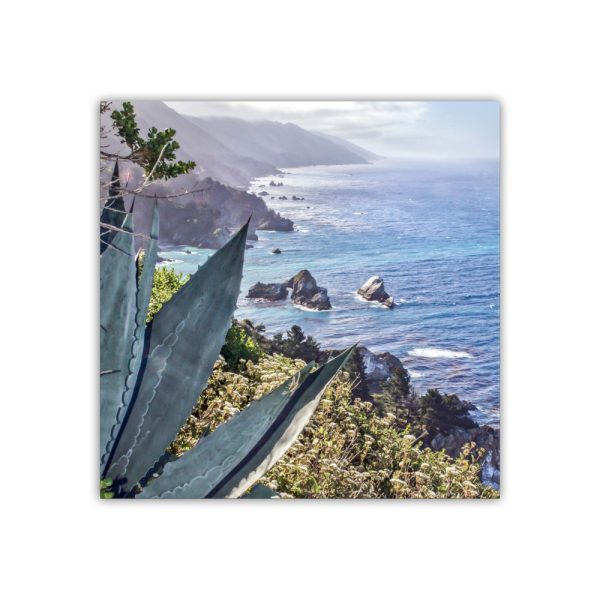 Product Image and Link for Big Sur Agave Photography Print at California Coast as Home Decor Gift Art