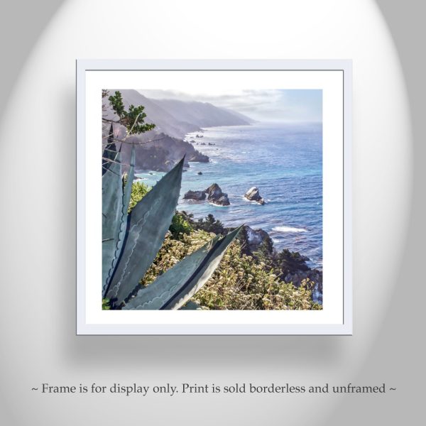 Product Image and Link for Big Sur Agave Photography Print at California Coast as Home Decor Gift Art