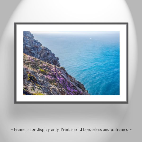 Product Image and Link for Point Reyes Photography with California Coast Wildflowers at Marin County