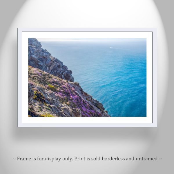 Product Image and Link for Point Reyes Photography with California Coast Wildflowers at Marin County