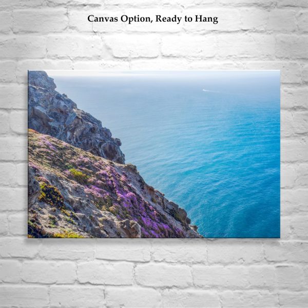 Product Image and Link for Point Reyes Photography with California Coast Wildflowers at Marin County