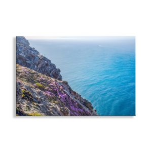 Product Image and Link for Point Reyes Photography with California Coast Wildflowers at Marin County