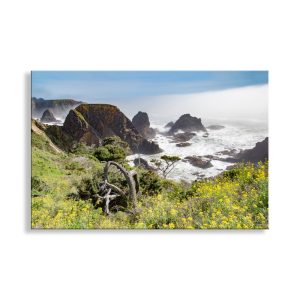 Product Image and Link for Sea Ranch Mendocino California Coast Photography Wall Art Print