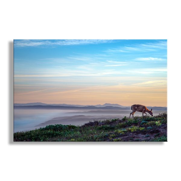 Product Image and Link for Marin County Coastal Art Print with Point Reyes Sunrise and Wild Deer