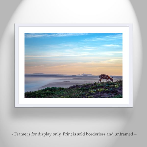 Product Image and Link for Marin County Coastal Art Print with Point Reyes Sunrise and Wild Deer