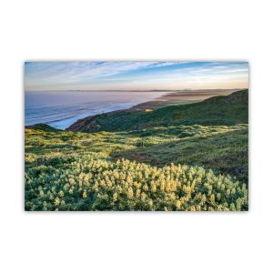 Product Image and Link for Point Reyes Marin County Art at California Coast with Wildflowers