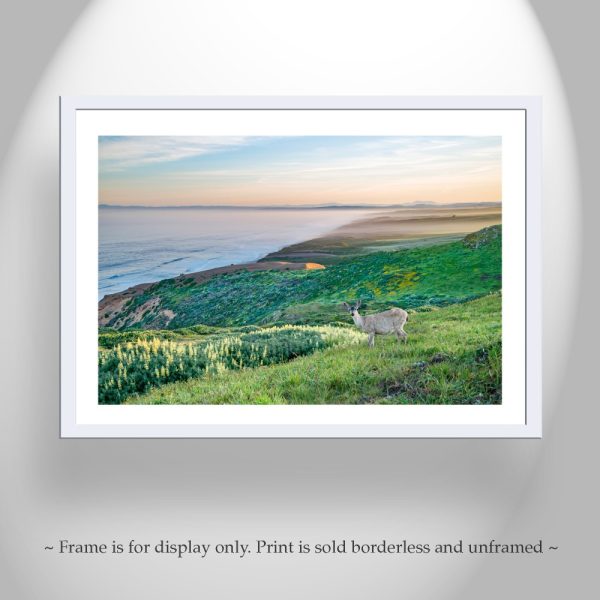 Product Image and Link for Point Reyes Marin County California Coast Art Print with Wild Deer | Wall Decor for Home or Office