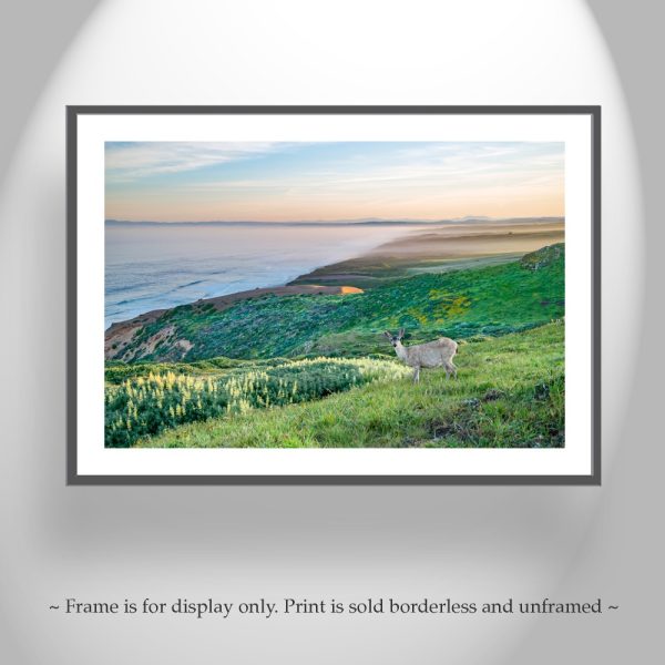 Product Image and Link for Point Reyes Marin County California Coast Art Print with Wild Deer | Wall Decor for Home or Office