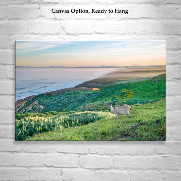 Product Image and Link for Point Reyes Marin County California Coast Art Print with Wild Deer | Wall Decor for Home or Office