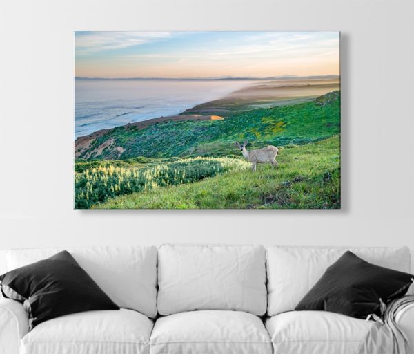 Product Image and Link for Point Reyes Marin County California Coast Art Print with Wild Deer | Wall Decor for Home or Office