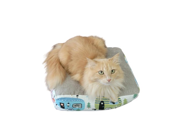 Product Image and Link for Cat Cloud – Winter 2024 Edition