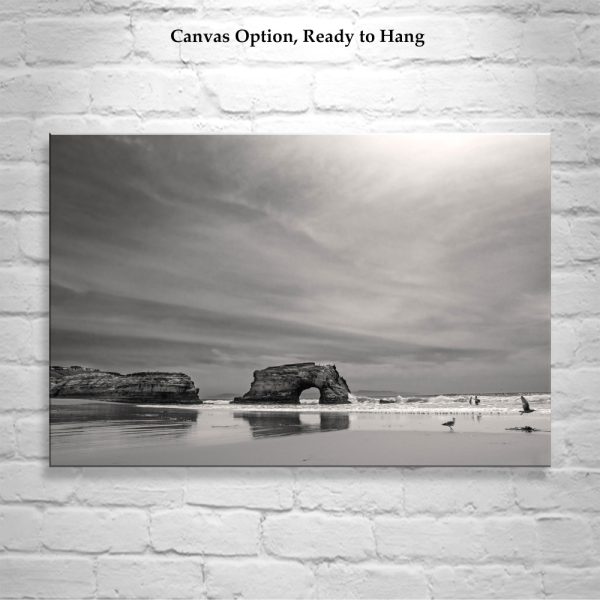 Product Image and Link for Santa Cruz California Art Print of Beach and Natural Bridge as Wall Decor for Home or Office