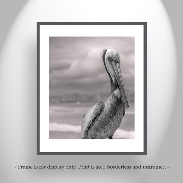 Product Image and Link for Pelican Art in Black and White | Bird Photography at Oceanside Pier, San Diego California