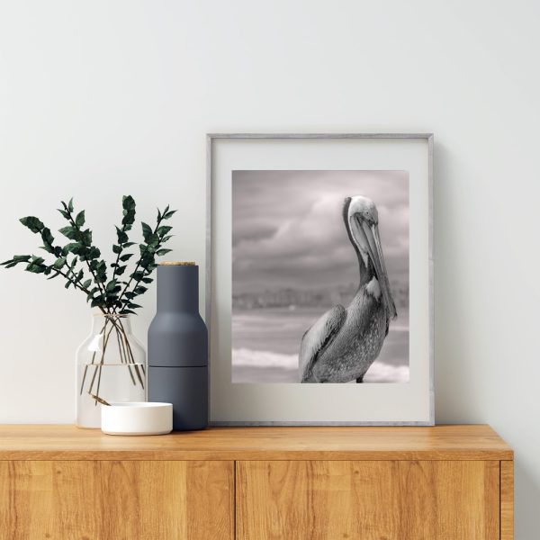 Product Image and Link for Pelican Art in Black and White | Bird Photography at Oceanside Pier, San Diego California