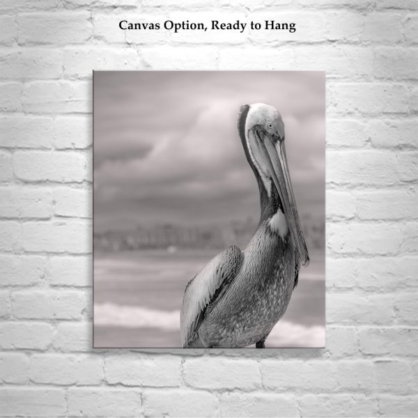 Product Image and Link for Pelican Art in Black and White | Bird Photography at Oceanside Pier, San Diego California