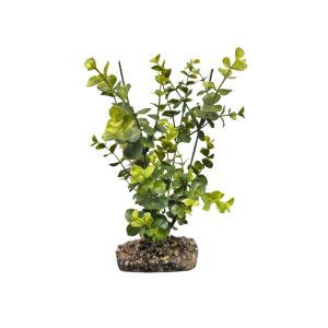 Product Image and Link for Medium Resin Freshwater Aquarium Plant