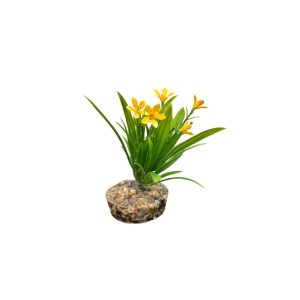 Product Image and Link for Small Resin Freshwater Aquarium Plant