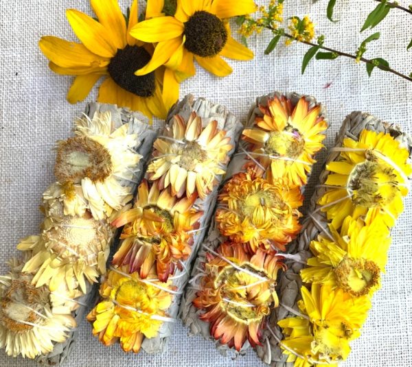 Product Image and Link for Sunflower Sage bundle